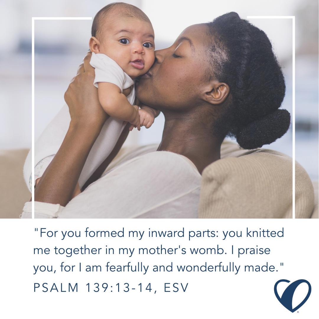 SOHL Verse Graphic 1