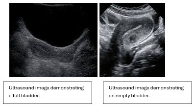 Screenshot 2026 03 18 190014