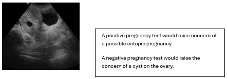 Screenshot 2026 03 18 191224