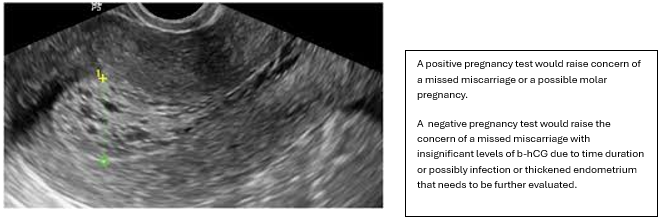 Screenshot 2026 03 18 193546