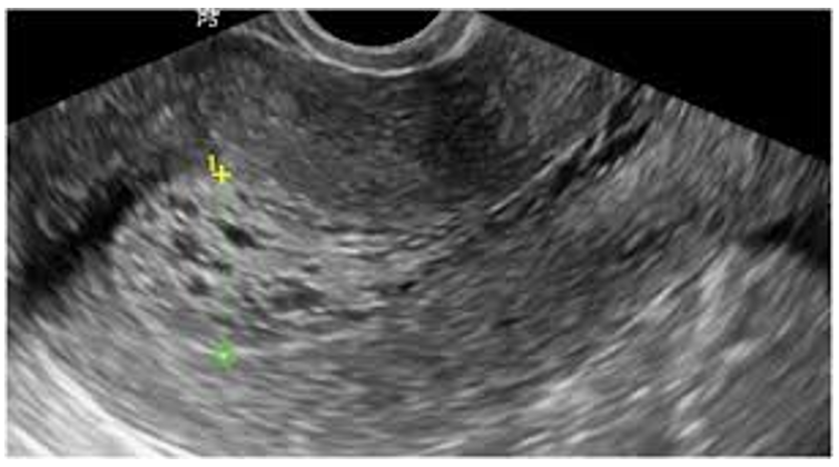 Screenshot 2026 03 19 105234