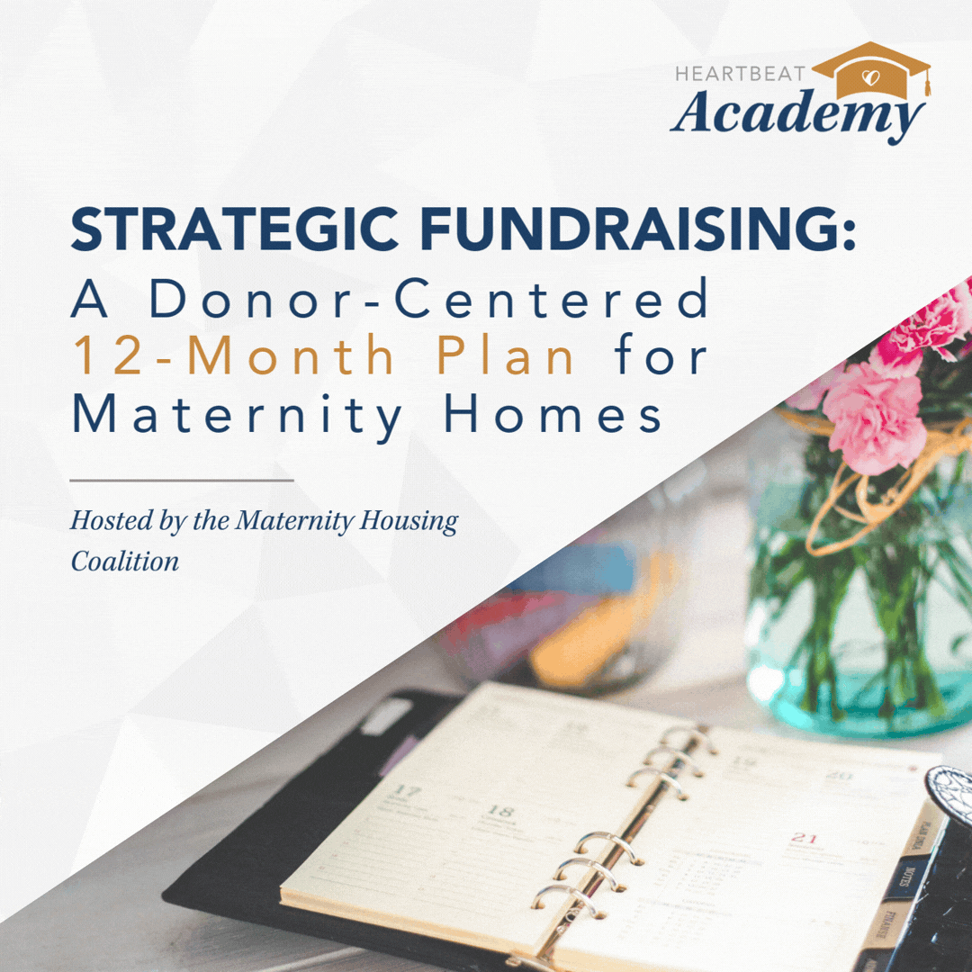 Strategic Fundraising Live Class