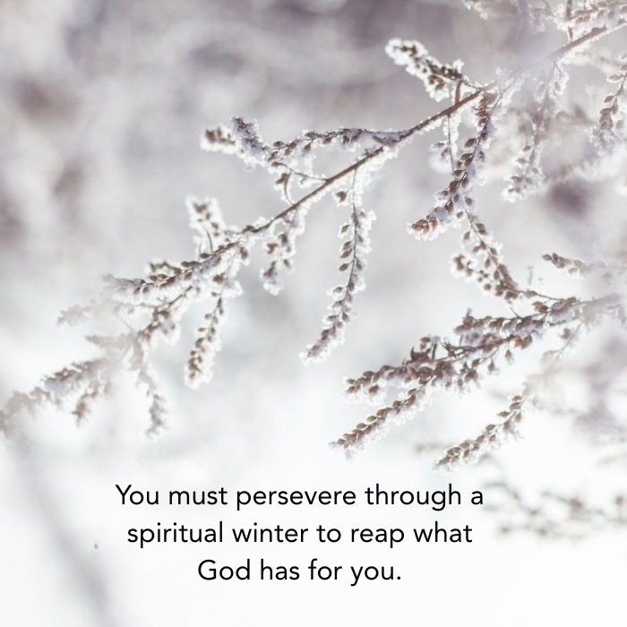 TH February Devotional