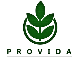 logo provida 1000x200