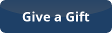 button give a gift