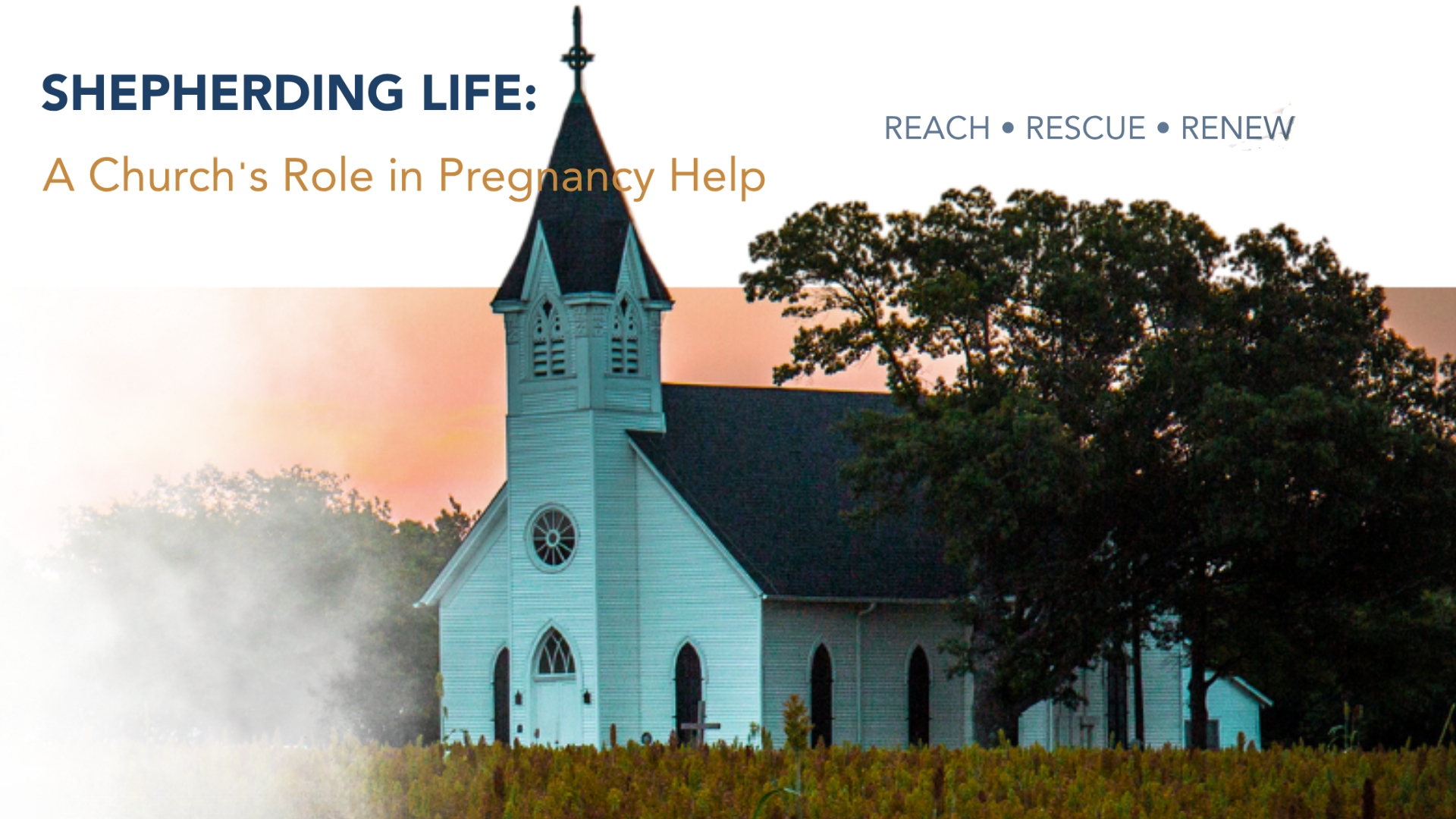 Shepherding Life